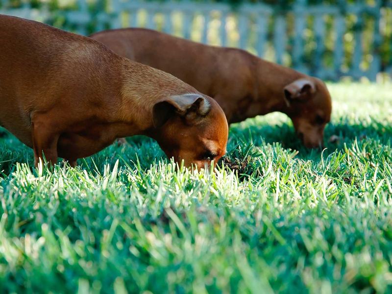 sudoku tricks screenshot 3