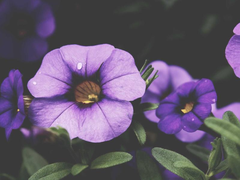 sudoku mac app screenshot 5